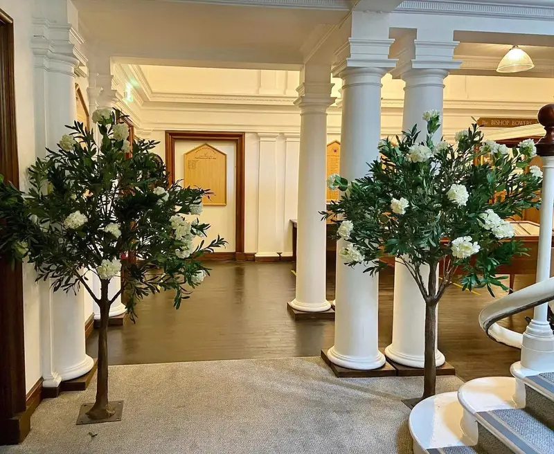 Greenery trees with ivory blossoms either side of a doorway